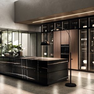 Contempora Aster