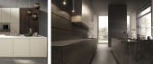 Contempora Aster