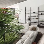 libreria roxanne arketipo