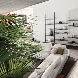 libreria roxanne arketipo