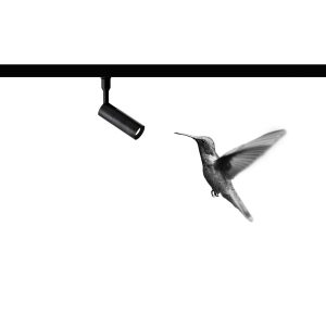 lampada Colibrì di Davide Groppi Lato Home