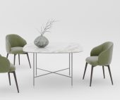 Prof_Diana_meeting_table